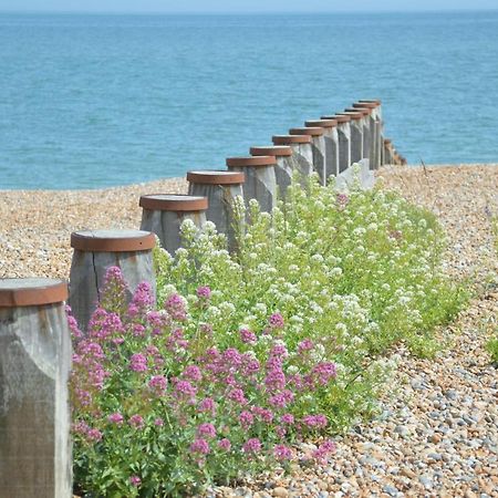 The Gem Bed & Breakfast Winchelsea Eksteriør bilde