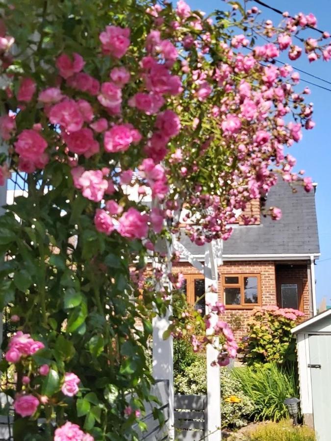 The Gem Bed & Breakfast Winchelsea Eksteriør bilde